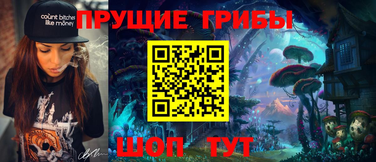 Псилоцибиновые грибы мицелий Муром